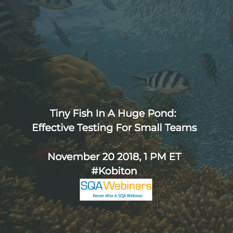 SQAWebinar642: Tiny Fish In A Huge Pond:  Effective Testing For Small Teams #SQAWebinars20Nov2018 #Kobiton #Magenic